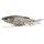 Kopie von Nays TRN 190 Swimbait #1