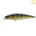 Illex Squad Minnow 65 SP