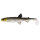 Westin Hypo Teez Paddle Tail 5 12,7cm